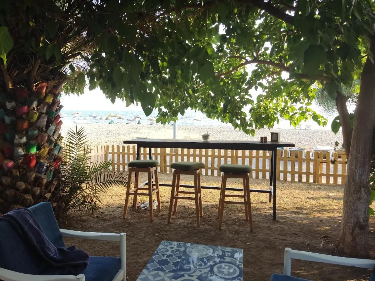 Palmiye Hotel Özdere