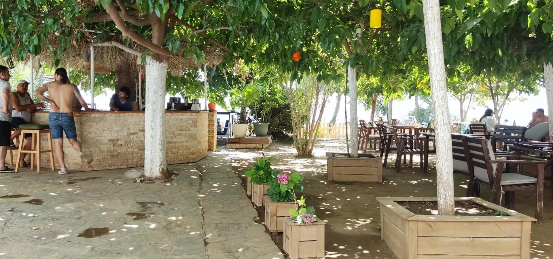 Palmiye Hotel Özdere