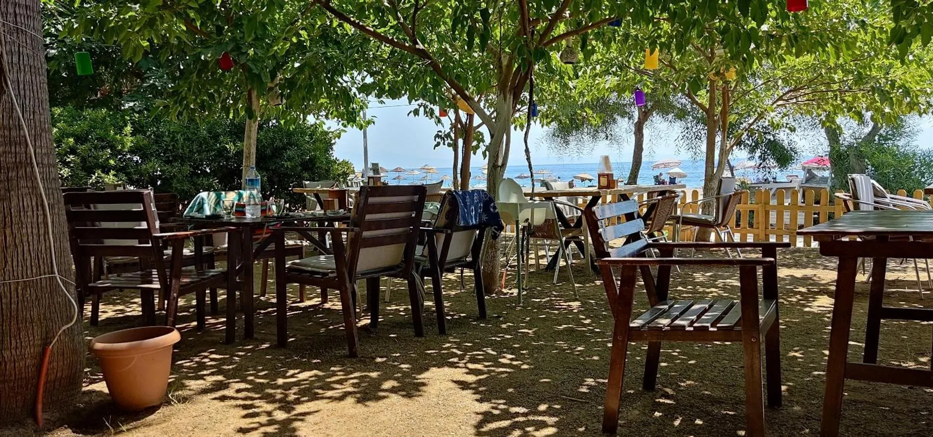 Palmiye Hotel Özdere
