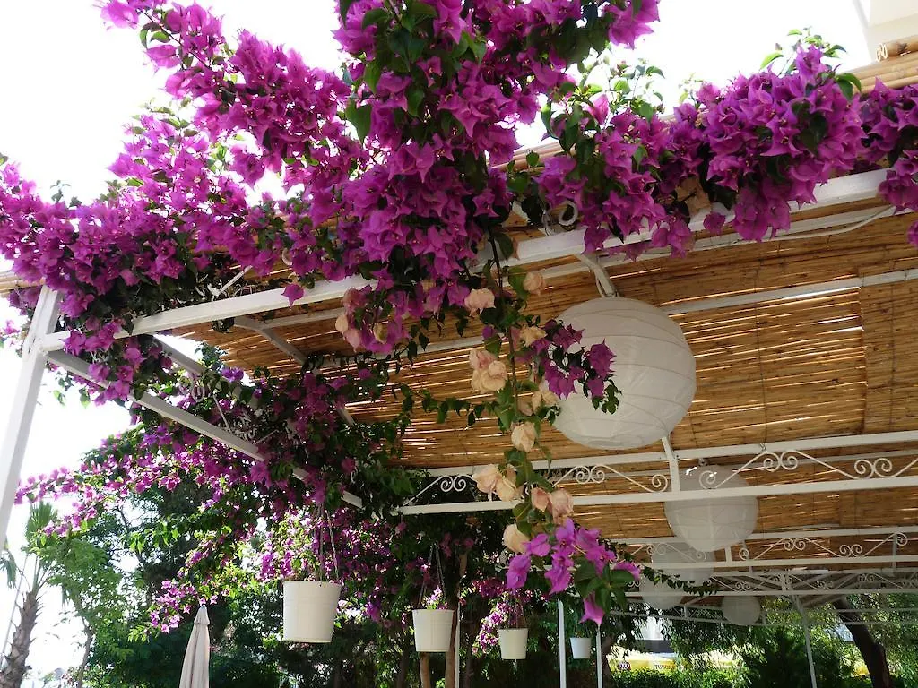 ***  Palmiye Hotel Özdere Türkei