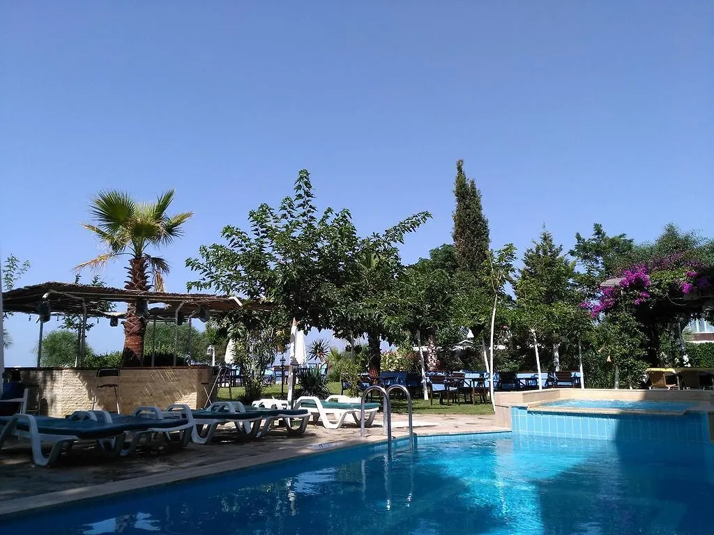 Palmiye Hotel Özdere